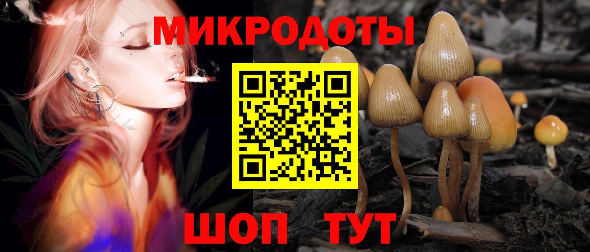 Псилоцибиновые грибы Magic Shrooms Нижний Новгород